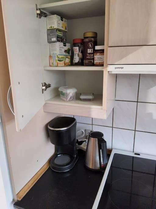 Family Friendly Apt B, 900M To Lego House, Parking, Legoland, Lalandia 比隆 外观 照片
