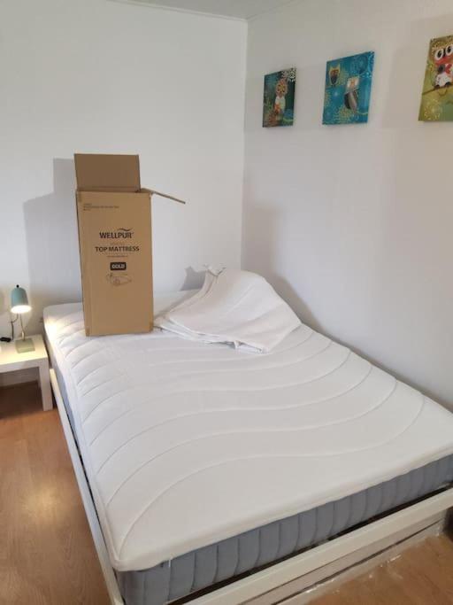 Family Friendly Apt B, 900M To Lego House, Parking, Legoland, Lalandia 比隆 外观 照片